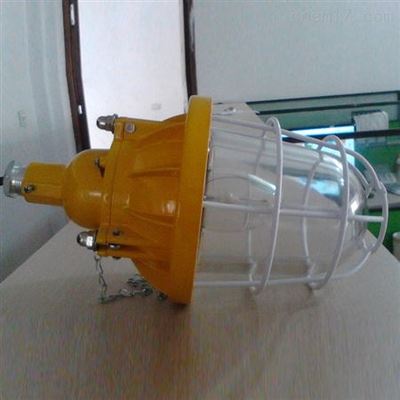 BAD系列防爆燈 化工行業照明安全的堅實保障