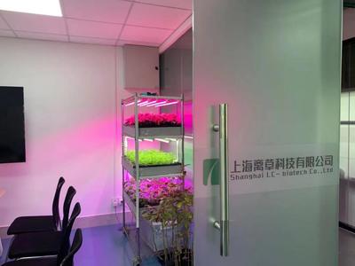 新聞中心的照明設備 科技與藝術的交融，打造專業傳播空間