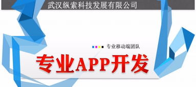 武漢縱索App開發(fā)外包公司 專業(yè)辦公系統(tǒng)軟件開發(fā)定制與軟件外包服務